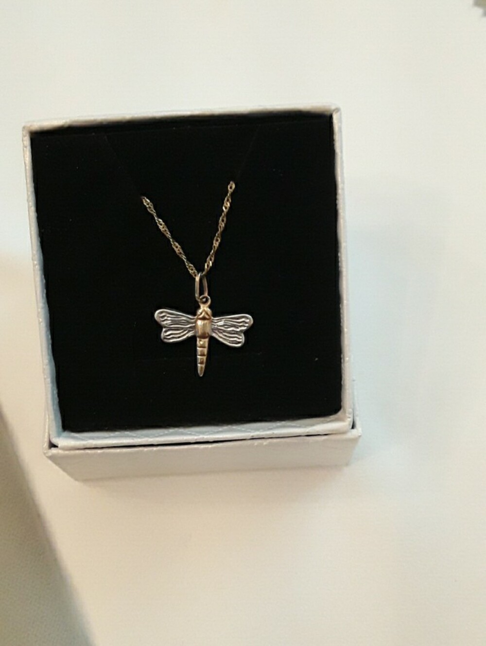 10K gold chain with 10k two tone dragonfly pendant